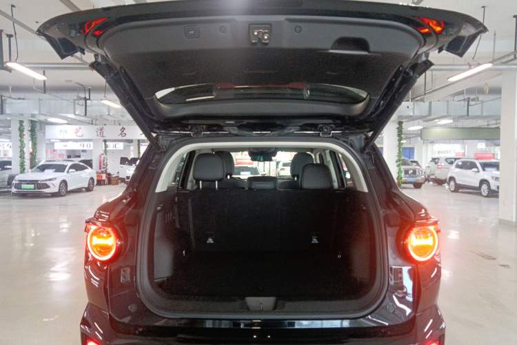 Used Haval H Dog 2023 2.0T Two-Wheel Drive Chaoye Version Plus
