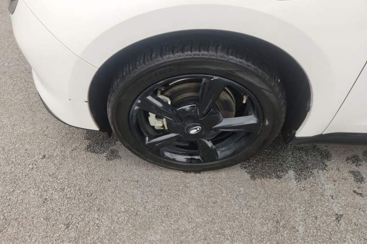 Used ORA Good Cat 2024 401 km Luxury Version