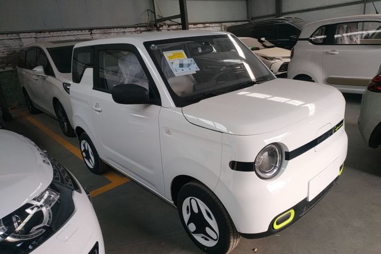 Used  Panda 2025 210 km – Yuanqi Bear
