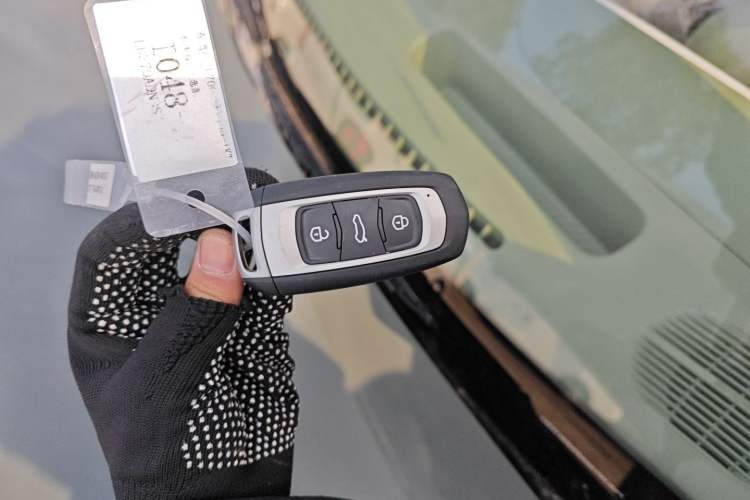 Used  Panda 2025 210km Panda Rider
