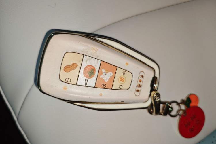 Used Geometry E Firefly 2024 401km Starlight
