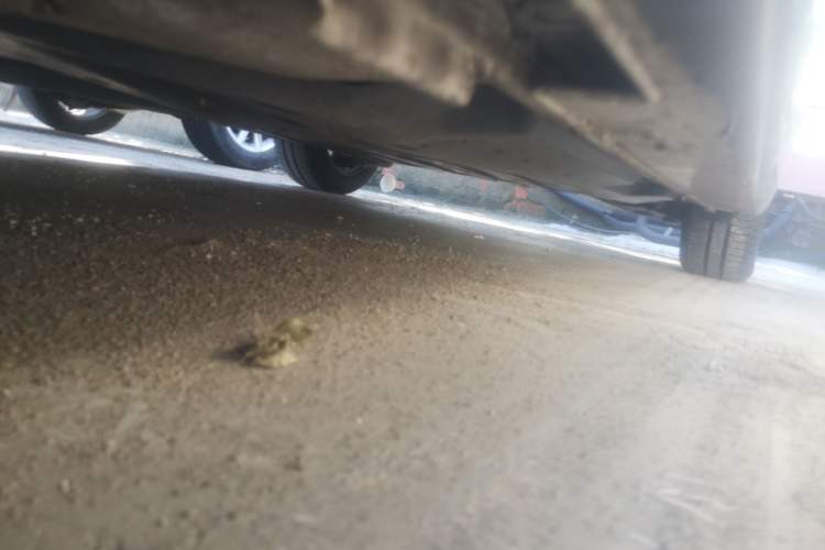 Used Honda Fit 2021 1.5L CVT Trendy Sports Edition
