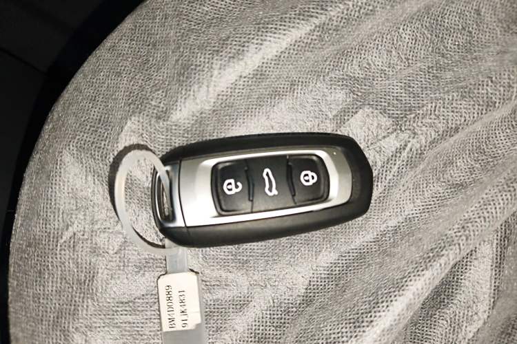 Used  Panda 2024 Panda Mini 200km Endurance Bear