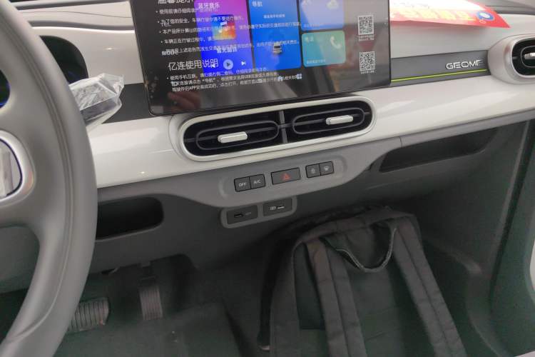 Used  Panda 2025 210 km – Yuanqi Bear
