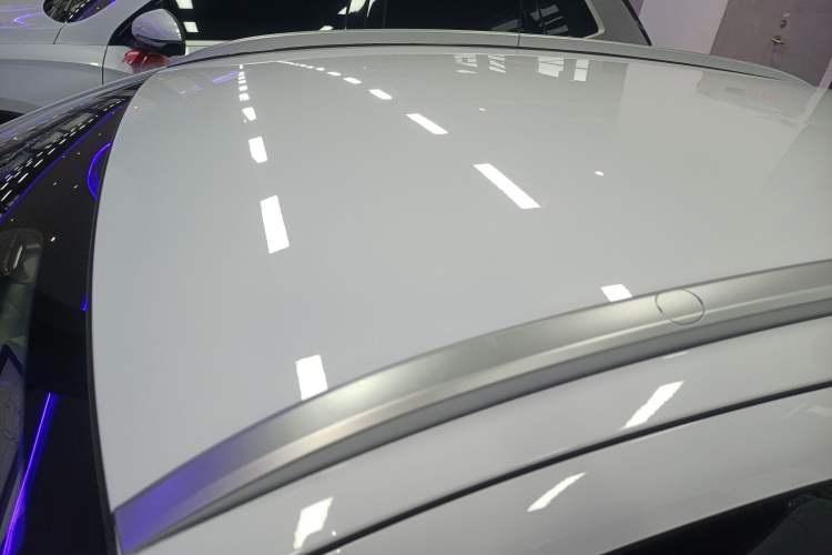 Used Geometry E Firefly 2022 320KM Cute Tiger 4-Seater
