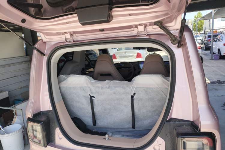 Used  Panda 2024 Panda Mini 200km Endurance Bear
