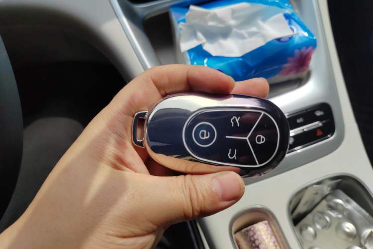 Used  Geome 2025 310km Dream Edition