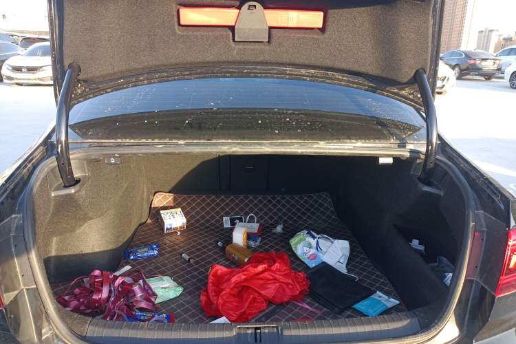 Used Volkswagen Magotan 2020 330TSI DSG Luxury Edition