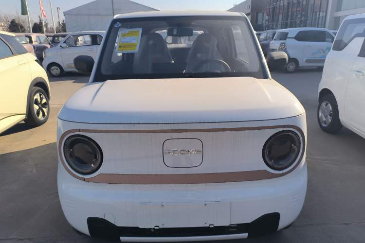 Used  Panda 2024 Panda Mini 200km Endurance Bear