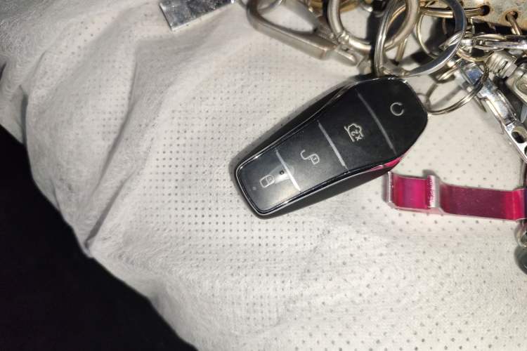 Used BYD Seal 05 DM-i 2025 DM-i Smart Drive 55KM Luxury Model
