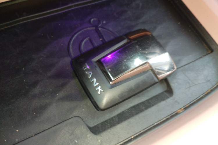 Used Tank 300 2021 City Edition 2.0T—Truly Stylish
