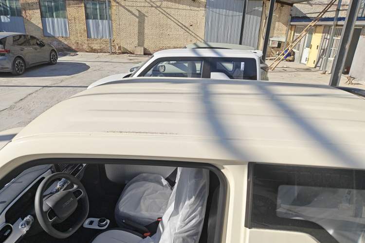 Used  Panda 2025 210 km – Yuanqi Bear
