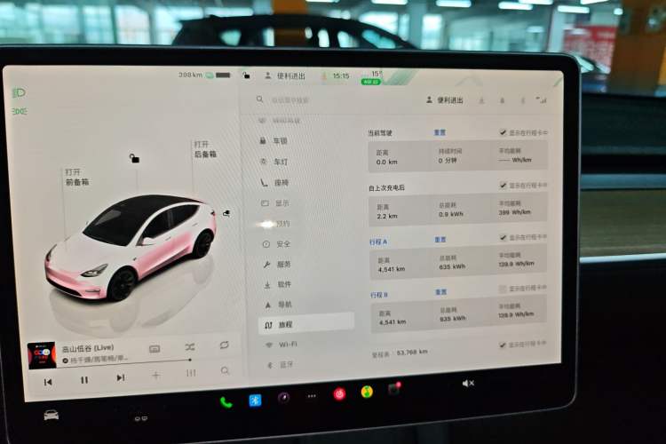 Used Tesla Model Y 2022 Rear-Wheel-Drive Version
