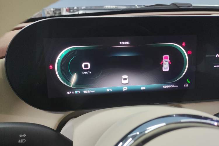 Used ORA Ballet Cat 2023 401 km Luxury Version
