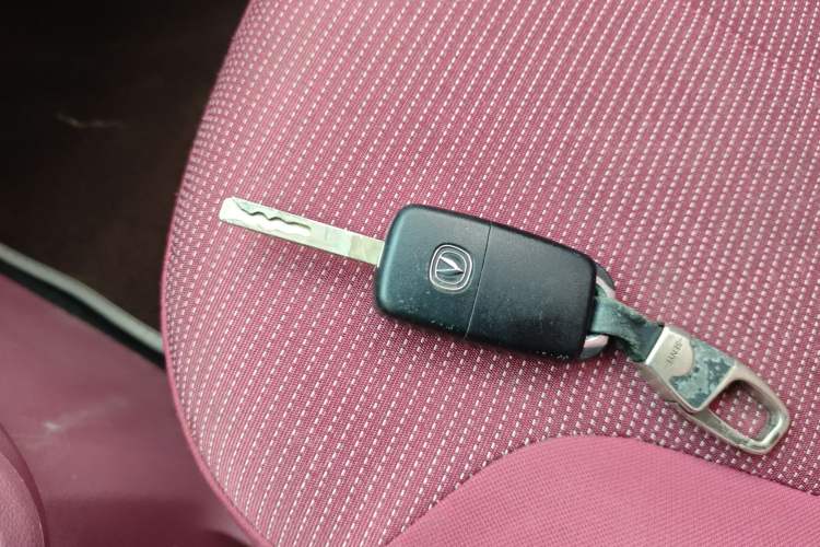 Used Oshan Benni E-Star 2021 National Edition Colorful Version Lithium Iron Phosphate (31.86 kWh)
