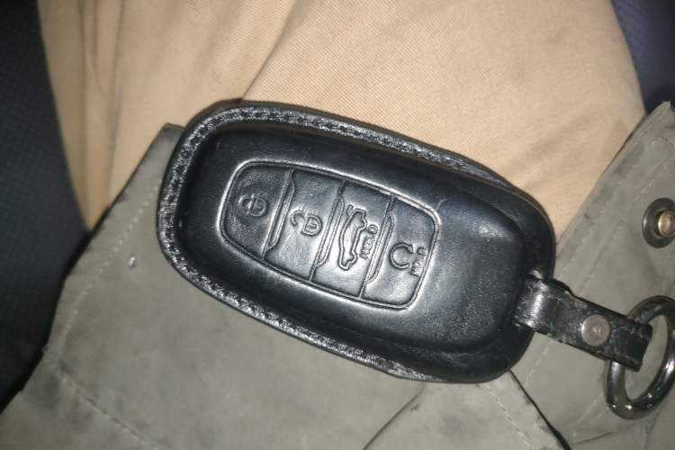 Used Hongqi E-HS9 2021 510 km Range Flagway Edition Six Seats
