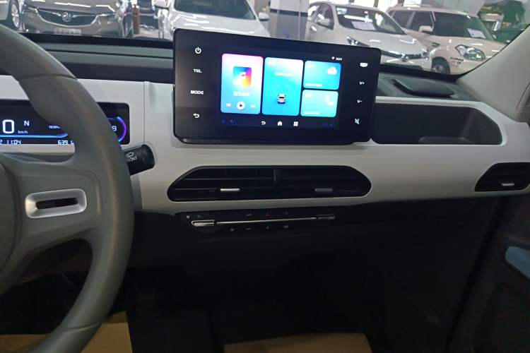 Used  Panda 2024 Panda Mini 200km Endurance Bear
