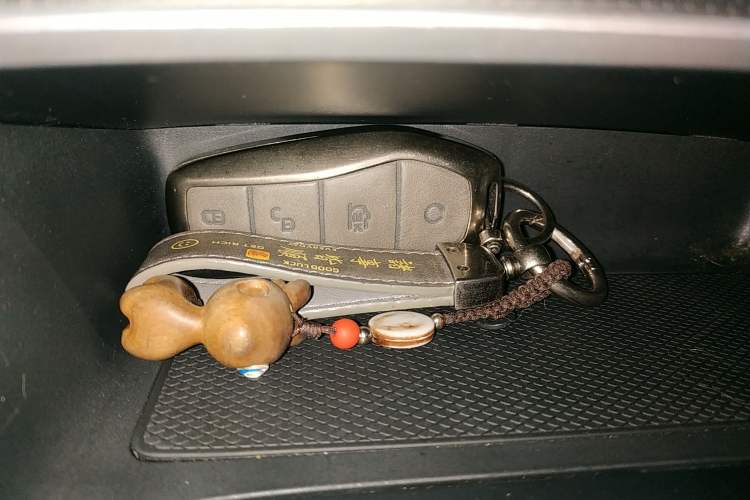 Used BYD Destroyer 05 2024 HONOR Edition DM-i 55KM Luxury Model
