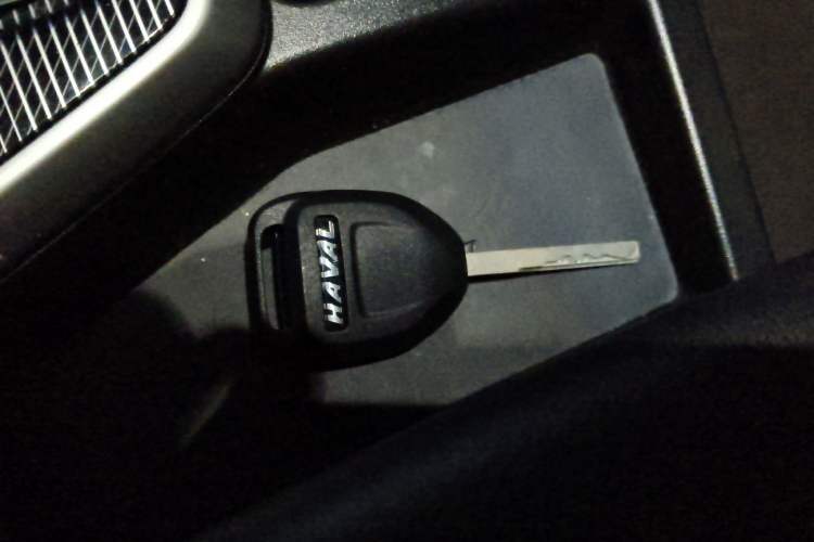 Used Haval LHERY 2022 Jingxiang Edition 1.5T Copper Rabbit
