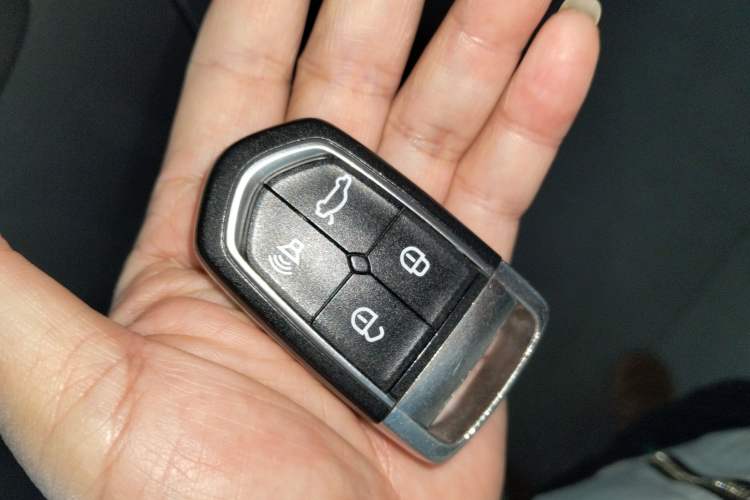 Used BORGWARD BX5 2017 20TGDI Automatic Two-Wheel Drive Pioneer Edition
