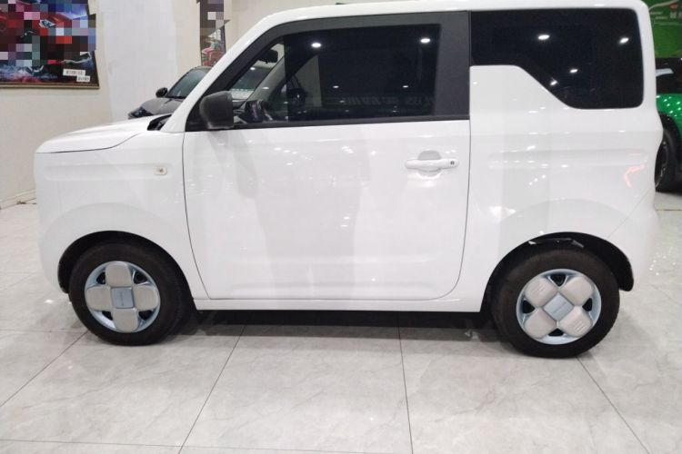 Used  Panda 2024 Panda Mini 200km Endurance Bear