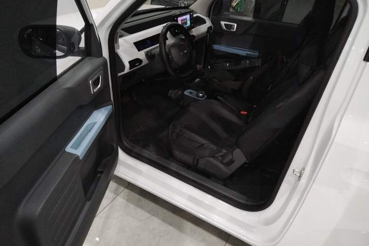 Used  Panda 2024 Panda Mini 200km Endurance Bear