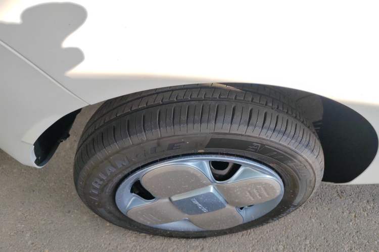 Used  Panda 2024 Panda Mini 200km Endurance Bear
