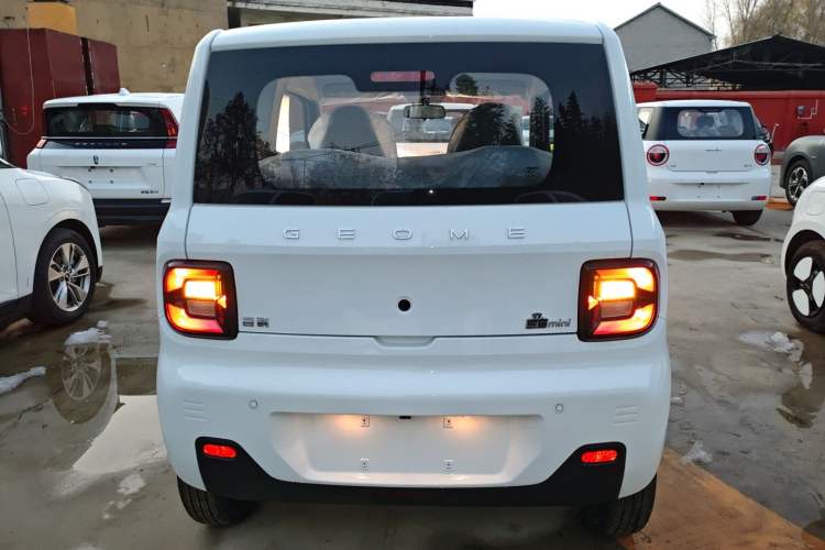 Used  Panda 2024 Panda Mini 200km Endurance Bear