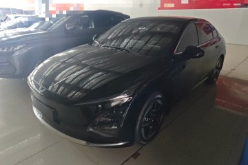 Used Wuling Xingguang 2024 Co-Creation Edition 510 Advanced Model