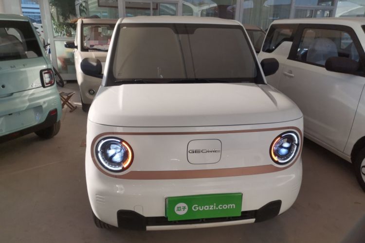 Used  Panda 2024 Panda Mini 200km Endurance Bear
