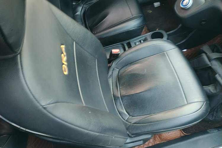 Used ORA White Cat 2020 305 km Luxury Version
