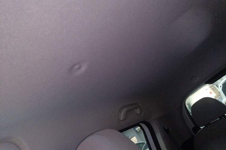 Used ORA White Cat 2020 305 km Luxury Version
