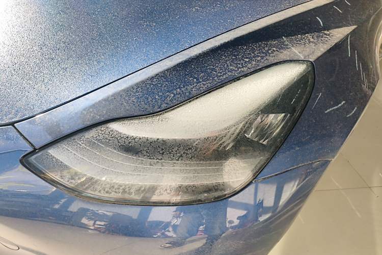 Used Tesla Model 3 2019 Standard Range Rear-Drive Upgraded Version