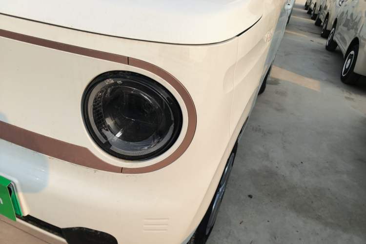 Used  Panda 2024 Panda Mini 200km Endurance Bear
