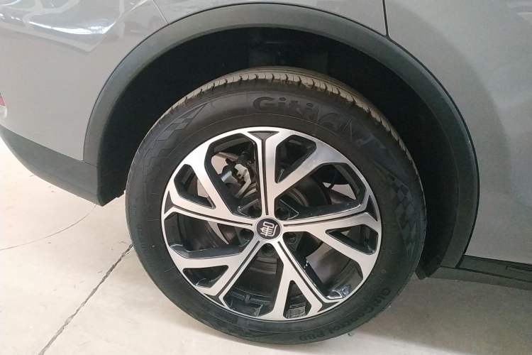 Used BYD Tang New Energy 2025 DM-i 115KM Prestige Model