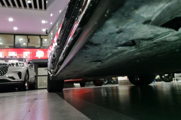 Used  06 2025 Pro Range-Extended Edition
