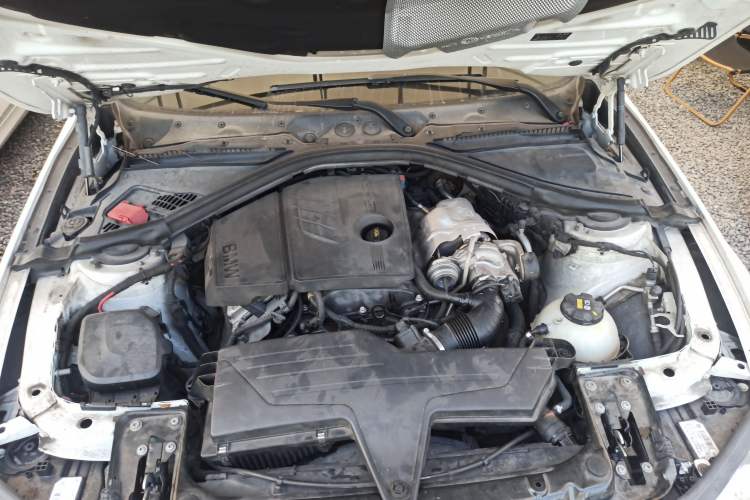 Used BMW 3 Series 2016 316Li Fashion Model