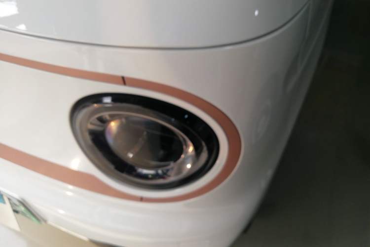 Used  Panda 2024 Panda Mini 200km Endurance Bear