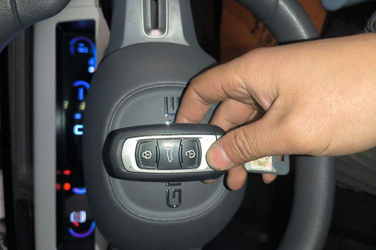 Used  Panda 2023 Panda Mini 200km Dynamic Bear
