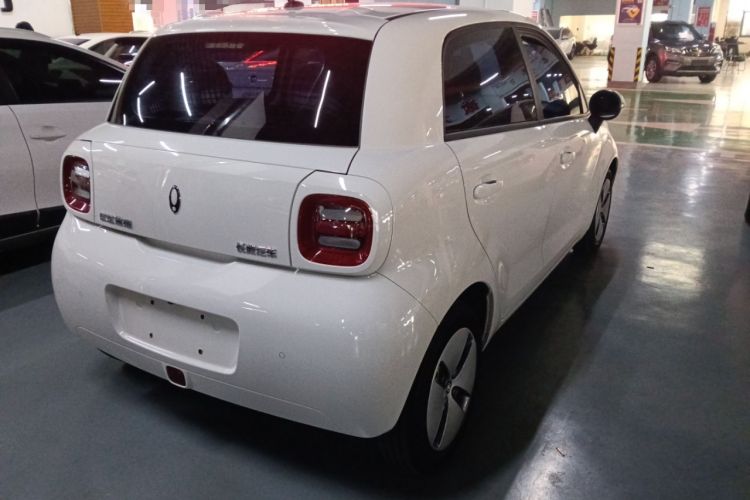 Used ORA Black Cat 2022 Updated Version 301 km Cute Pet Edition Lithium Iron Phosphate