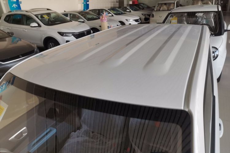 Used  Panda 2024 Panda Mini 200km Endurance Bear
