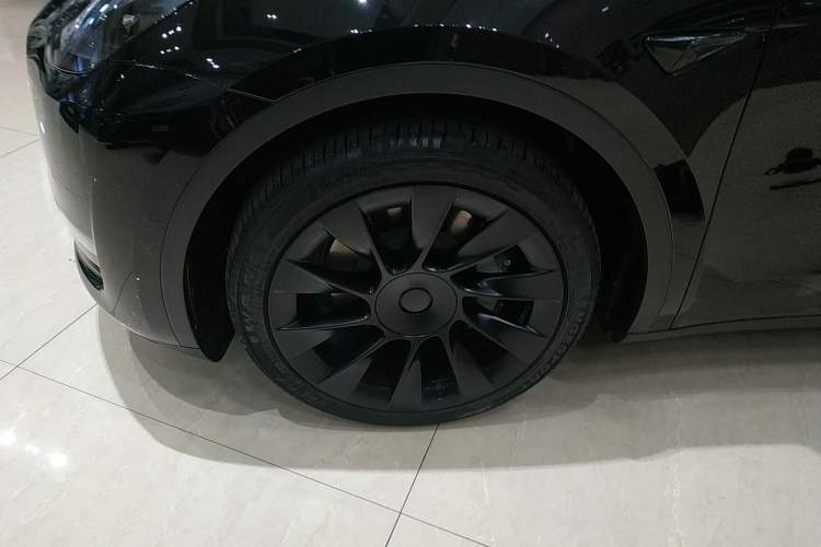 Used Tesla Model Y 2021 Standard Range Rear-Wheel Drive Version
