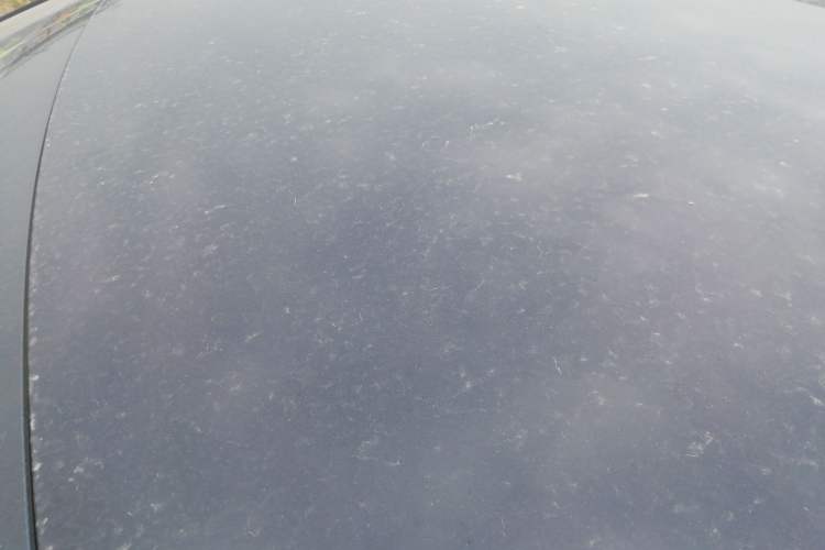 Used Wuling Bingo PLUS 2024 510 km Flagship Edition Four-Seater Version