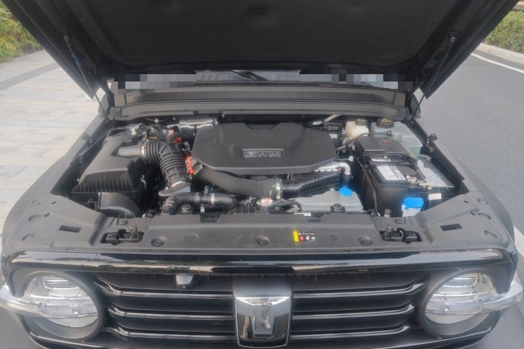 Used Tank 300 New Energy 2025 Hi4-T