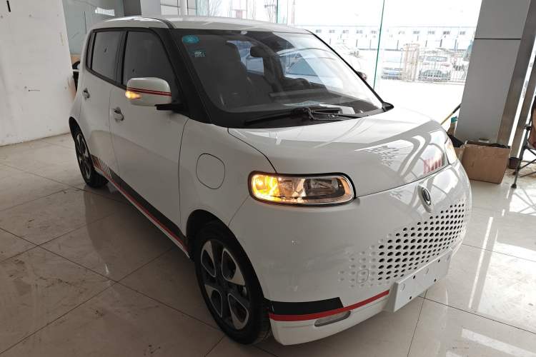 Used ORA White Cat 2020 305 km Luxury Version