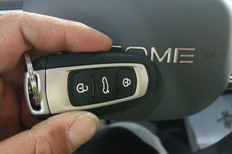 Used  Panda 2025 210 km – Yuanqi Bear