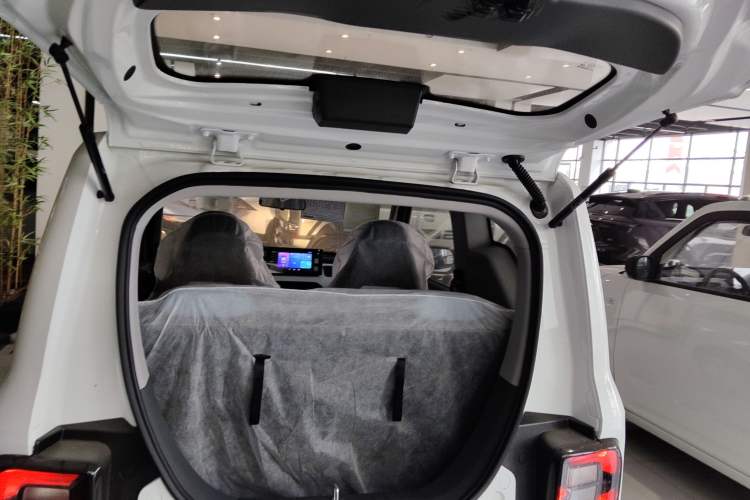 Used  Panda 2024 Panda Mini 200km Endurance Bear
