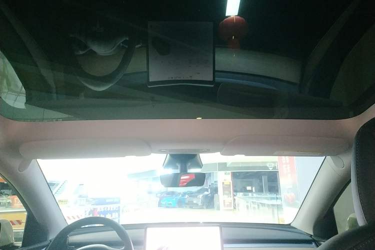 Used Tesla Model Y 2021 Standard Range Rear-Wheel Drive Version
