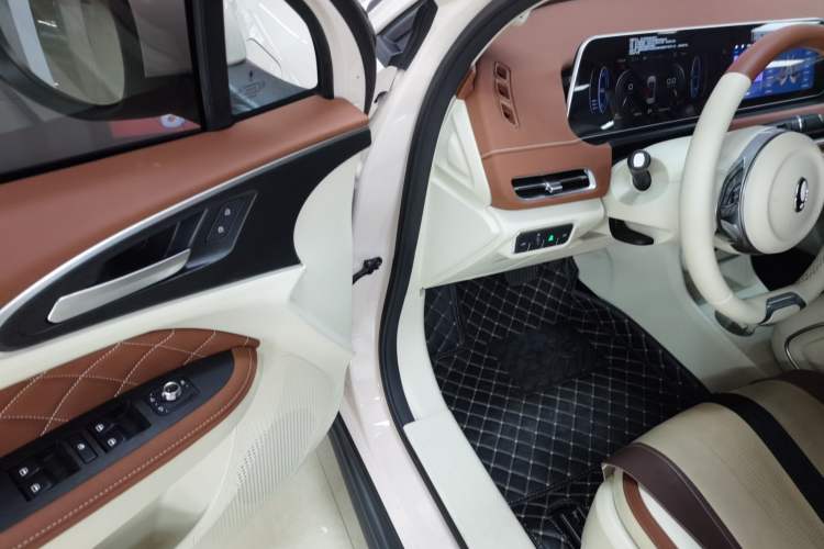 Used ORA Good Cat 2023 401 km Standard Range Premium Version Lithium Iron Phosphate
