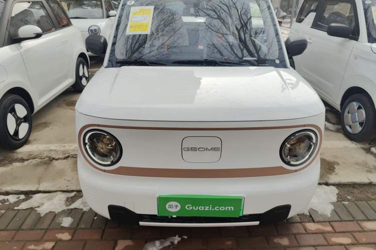 Used  Panda 2024 Panda Mini 200km Endurance Bear
